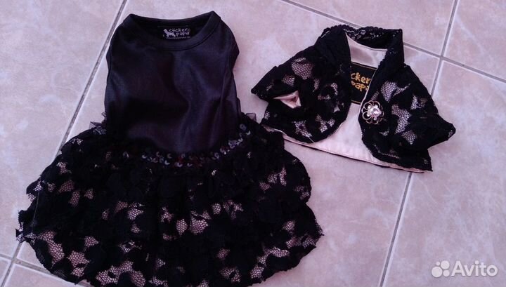 Костюм для собаки