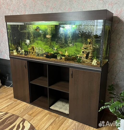 Аквариум 520л