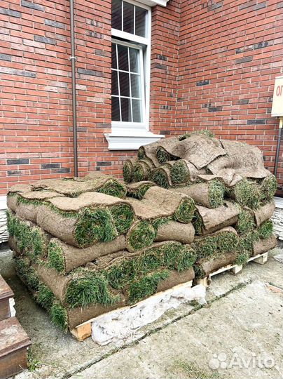 Рулонный газон от производителя. Укладка газона