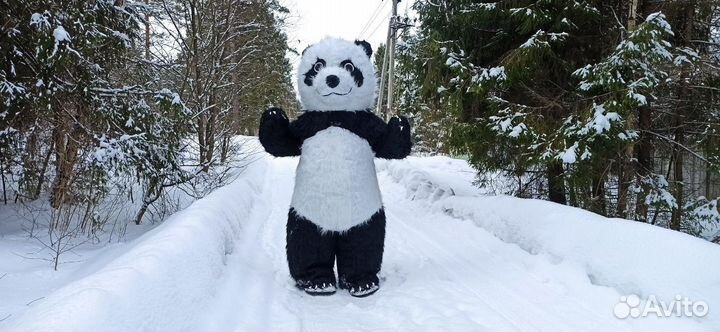Лучшие аниматоры в городе Москва и области
