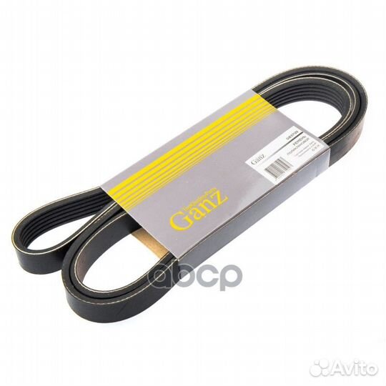 Ремень поликлиновый 6PK1753 VAG VW T4 99-04 GAN