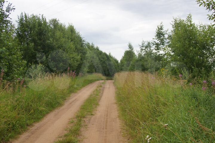 Участок 30 сот. (ИЖС)