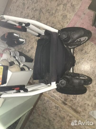 Коляска Adamex York