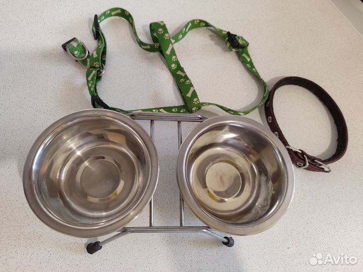 Ошейник для собак