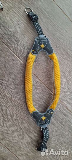 Шлейка, комбез, сапоги, лотки для малой собачки