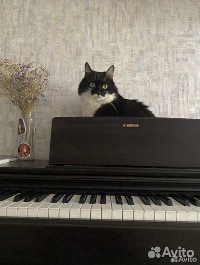 Цифровое пианино yamaha Arius YDP-143