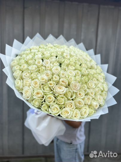 101 роза С доставкой