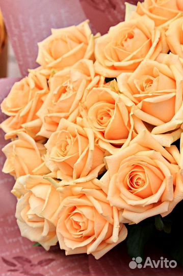 Розы персиковые Букет цветов Доставка и Самовывоз