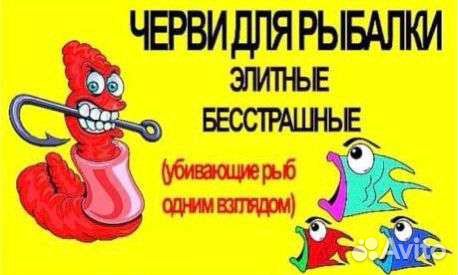 Черви для рыбалки