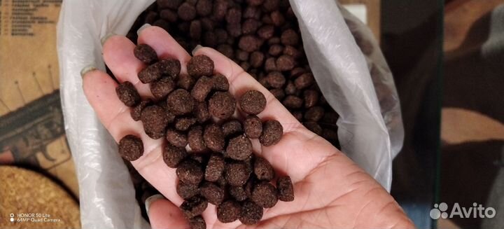 Корм для щенков ownat