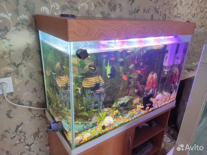 Аквариум с тумбой. 140л