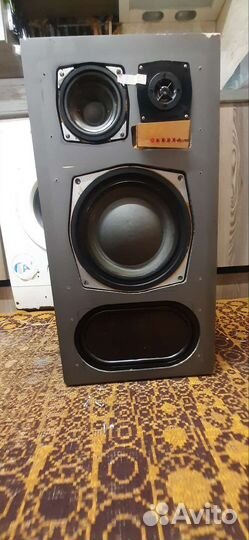 Акустические колонки Электроника 150ас