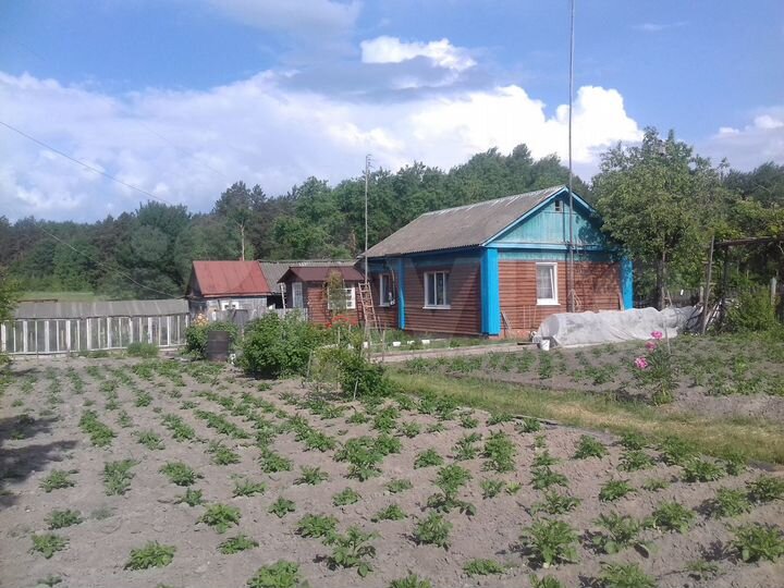 Дом 60 м² на участке 20 сот.
