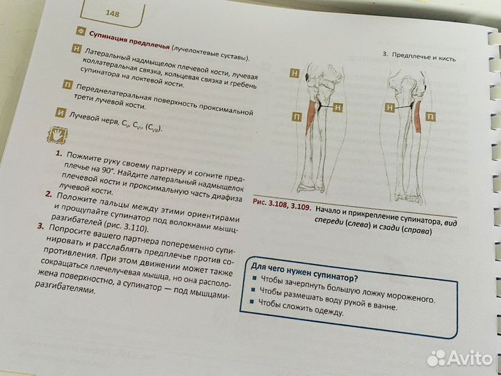 Путеводитель по телу