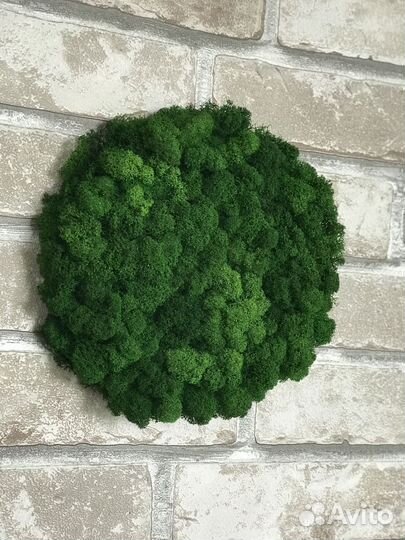 Панели из декоративного мха от производителя