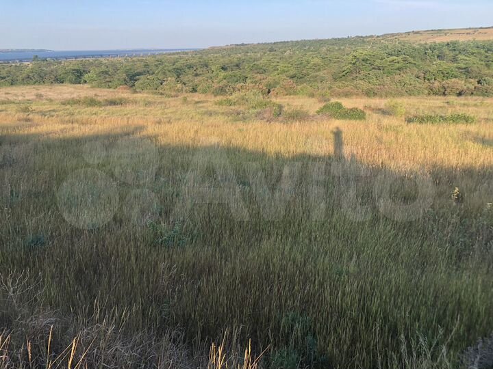 Участок 15,6 сот. (СНТ, ДНП)