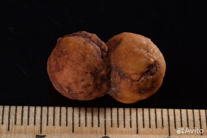 Виноградный халцедон. Лот №953