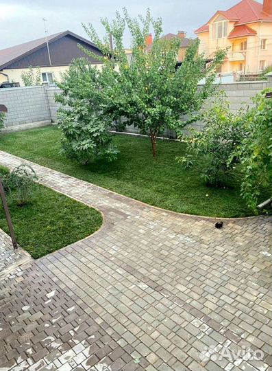 Рулонный газон 