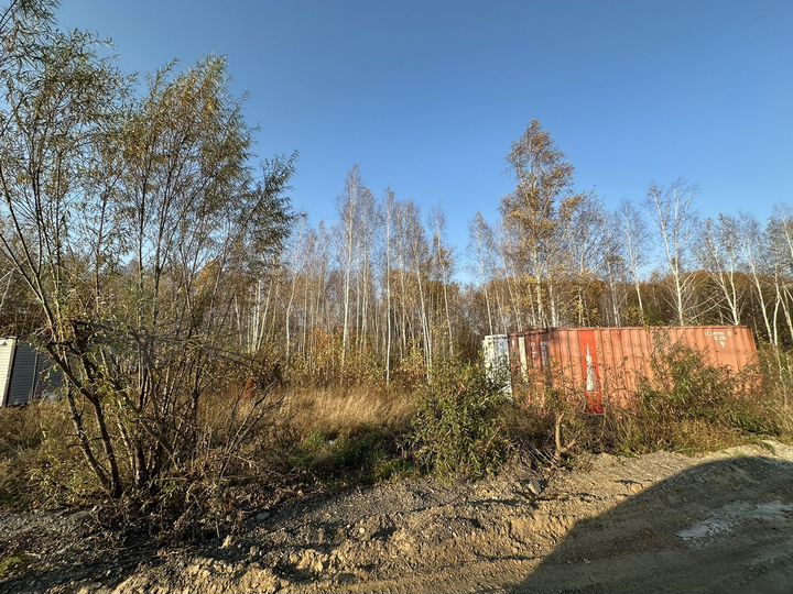 Участок 17 сот. (СНТ, ДНП)