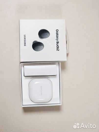 Samsung galaxy buds 2