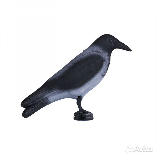 Чучело вороны серой 2 шт
