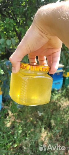 Настоящий мёд со своей пасеки