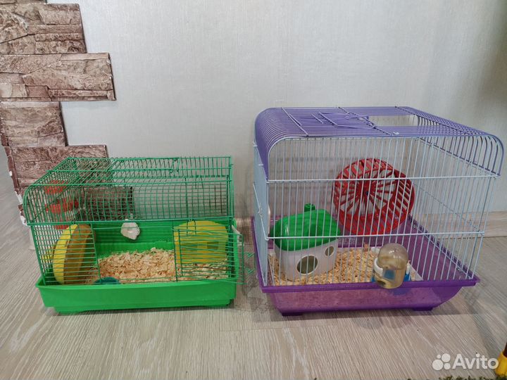 Клетка для джунгарского хомяка