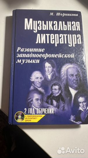 Музыкальная литература