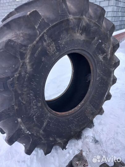 Ovation Snow Grip 23.1/400 R26 200B