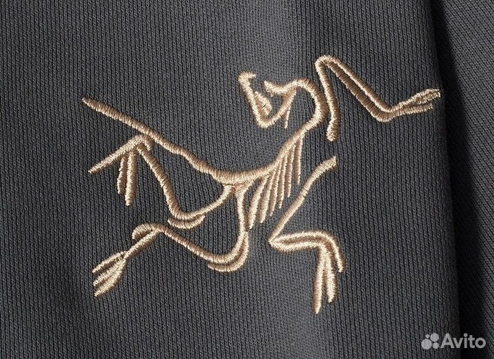 Зип худи Arcteryx