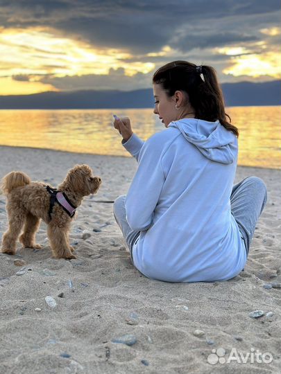 Шлейка + поводок 120 см