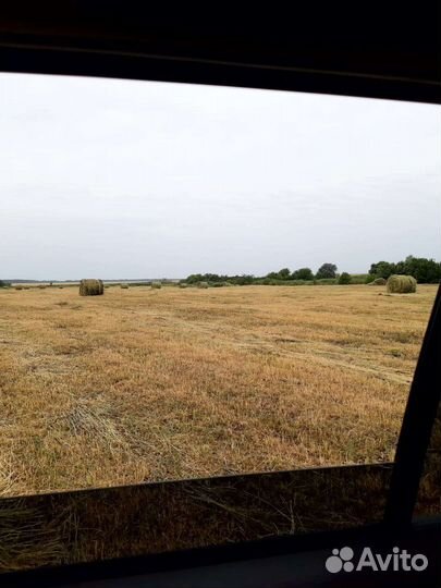 Сено-люцерка