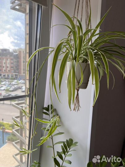 Плетеное кашпо