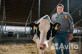 Работник на ферму (Вахта)