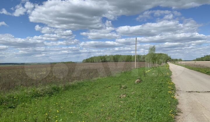 Участок 25 сот. (СНТ, ДНП)