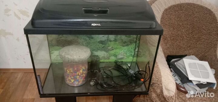 Аквариум