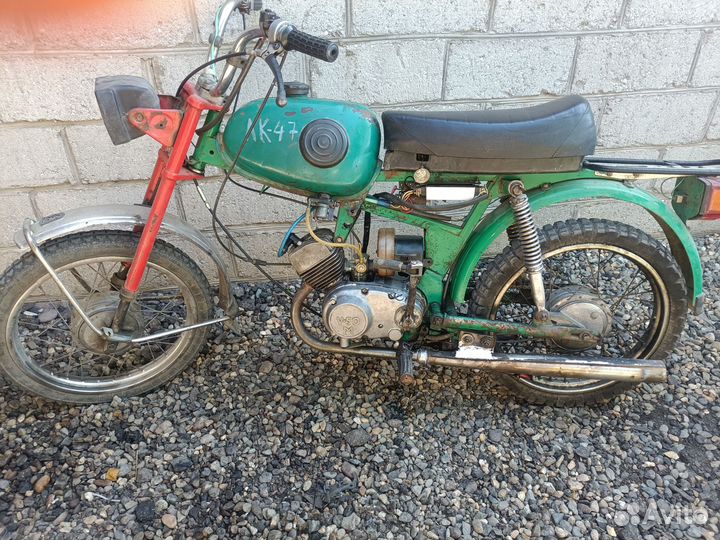 Карпаты Зид pilot 50