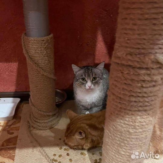 Стеша ждёт свою любящую семью