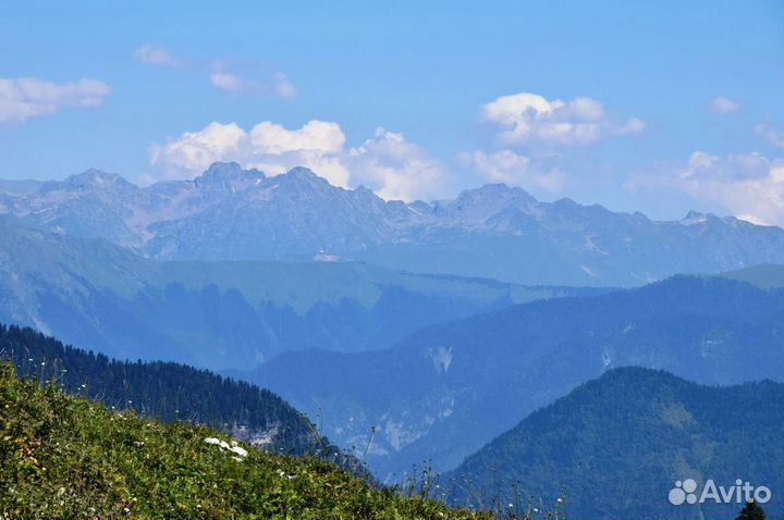 Поездка в р. Абхазию на 5 ночей