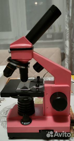 Микроскоп Levenhuk 2L/3L/D2L