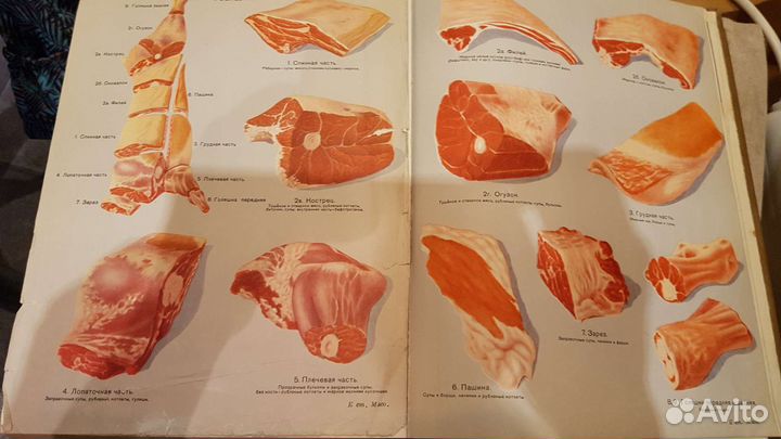 Энциклопедия домашнего хозяйства