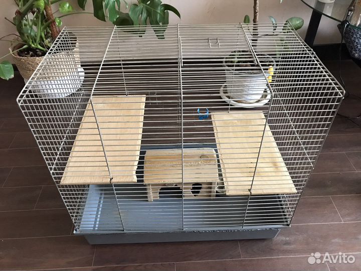 Клетка, домик, поилка, купалка для шиншиллы