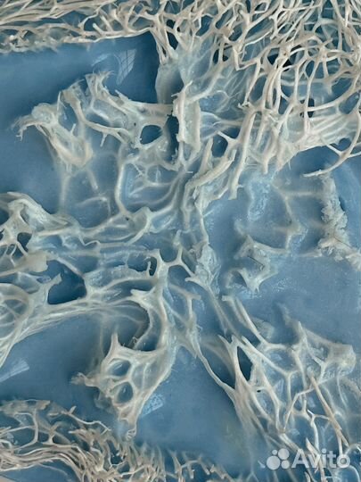 Массажное мыло с люффой