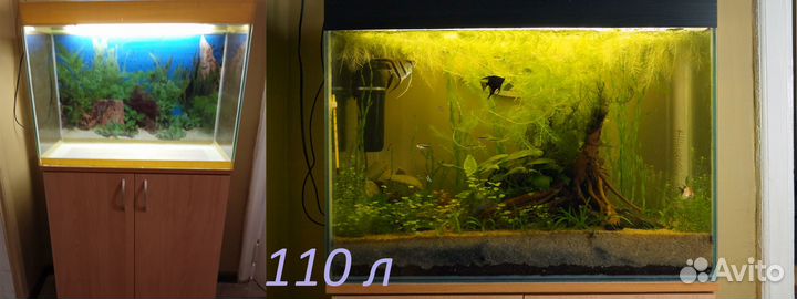 Обслуживание аквариумов