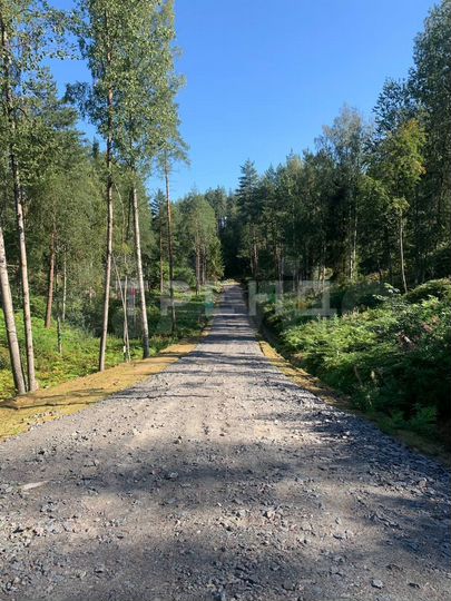 Участок 8,6 сот. (СНТ, ДНП)