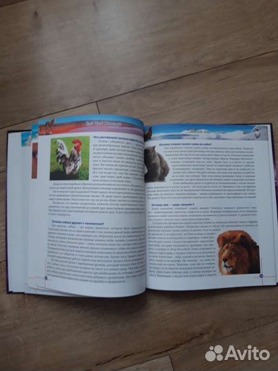 Энциклопедия Где Что Почему