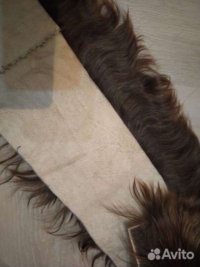 Шкура альпийская коза