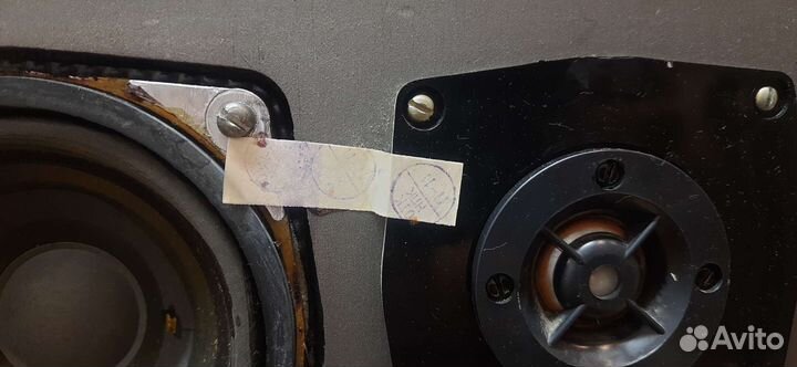 Акустические колонки Электроника 150ас