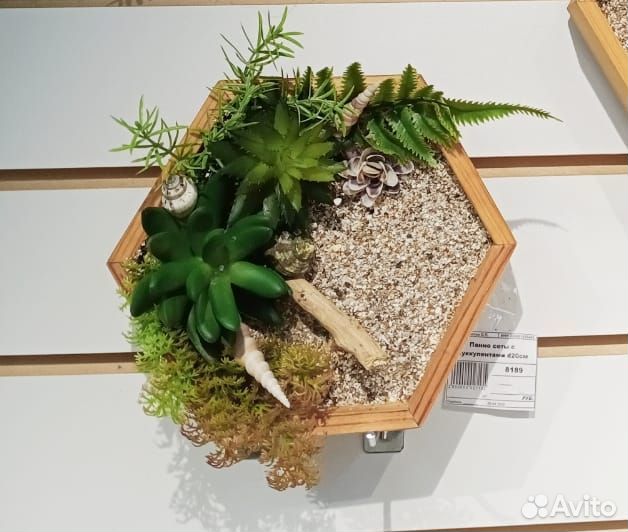 Панно с суккулентами