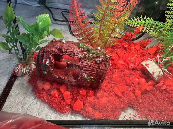 Аквариум 5 литров